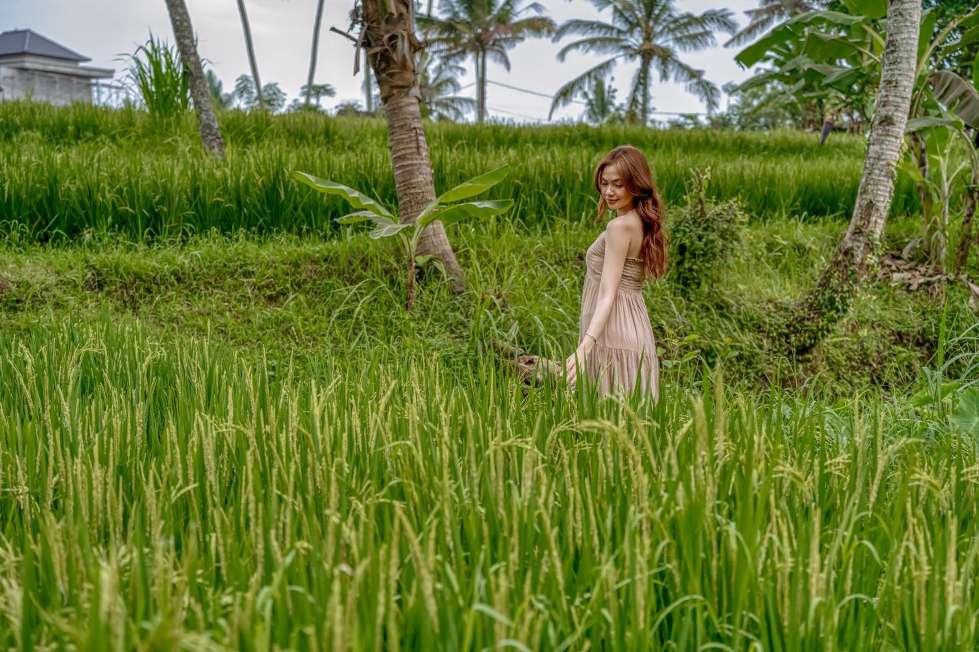 Pousada Bamboo Sanctuary By Nusantara Hospitality *