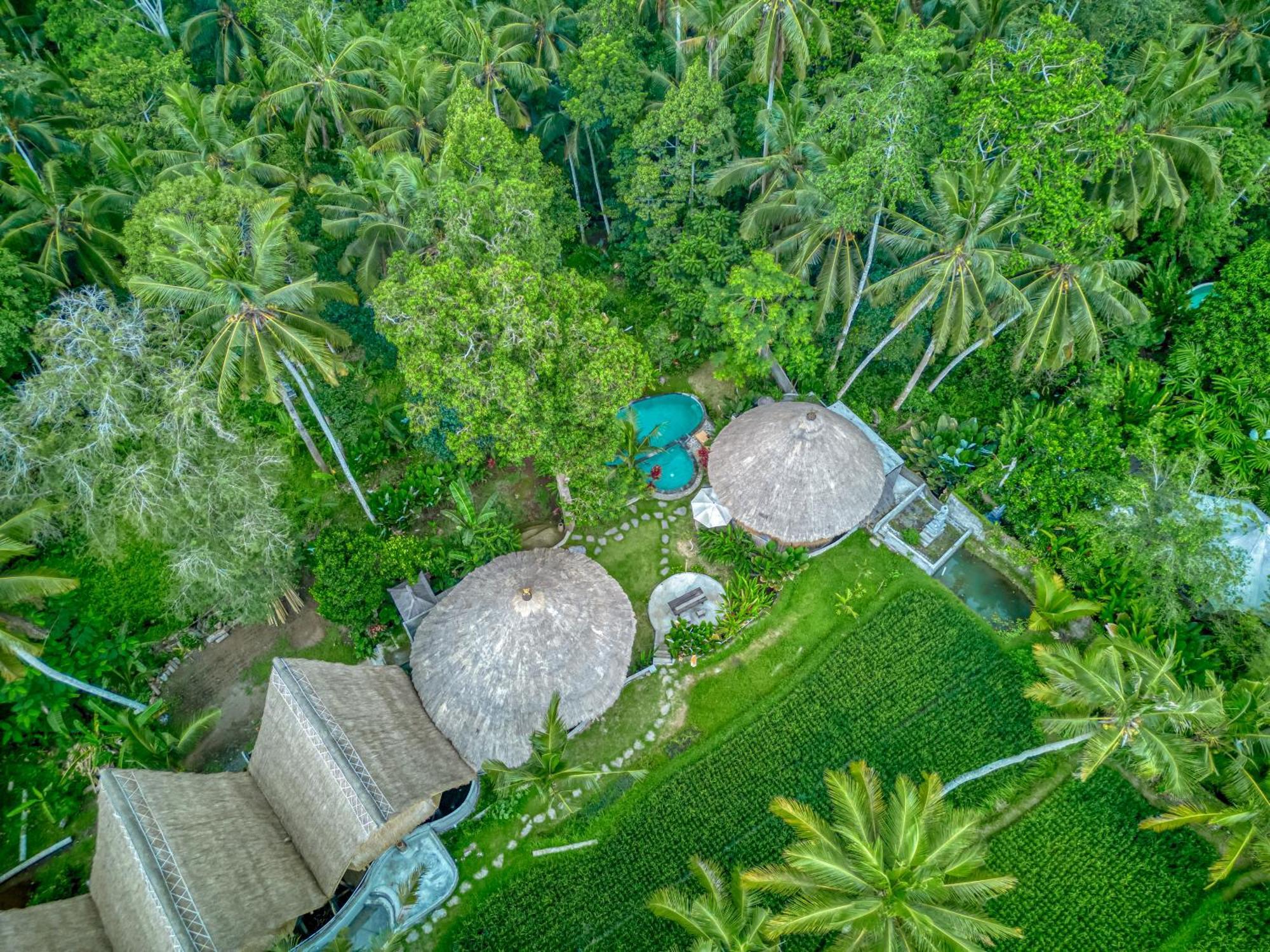 Bamboo Sanctuary By Nusantara Hospitality Pousada